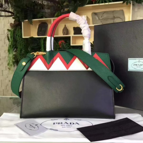 Pra*a-bag-100